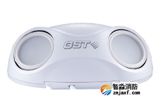 HW-ZFJC-E6W-N631集中電源集中控制型消防應(yīng)急照明燈具