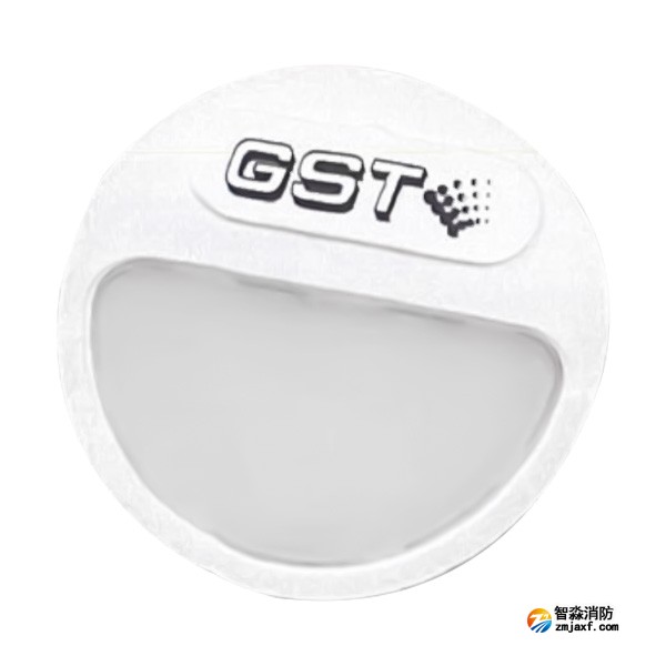 海灣HW-ZFJC-E5W-YN662集中電源集中控制型消防應(yīng)急照明燈具(5W壁掛照明燈)