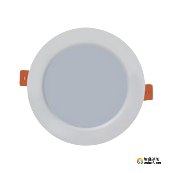 海灣HW-ZFJC-E3W-VN650應(yīng)急照明燈